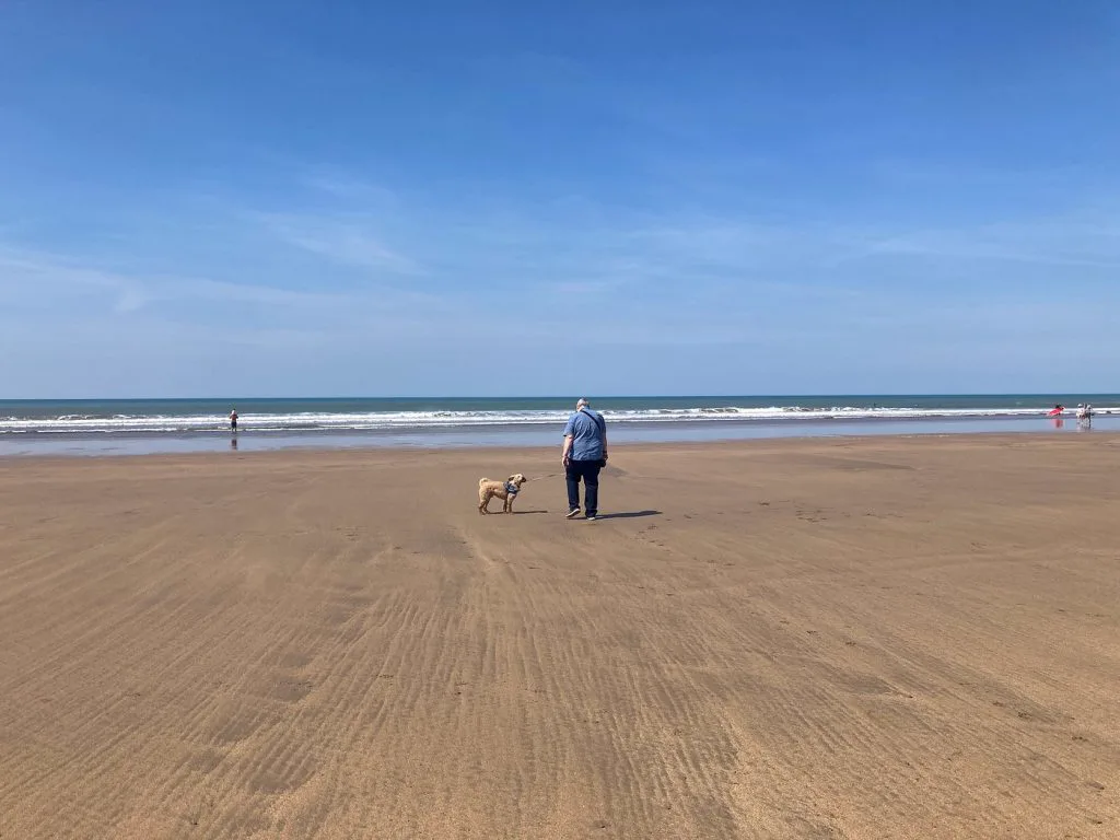 Bude Beach Dog Walk — North Cornwall