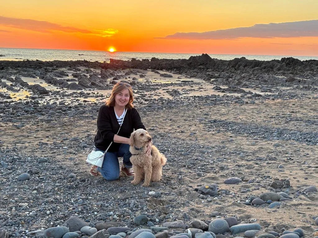 Dog on the Cornish coast at sunset